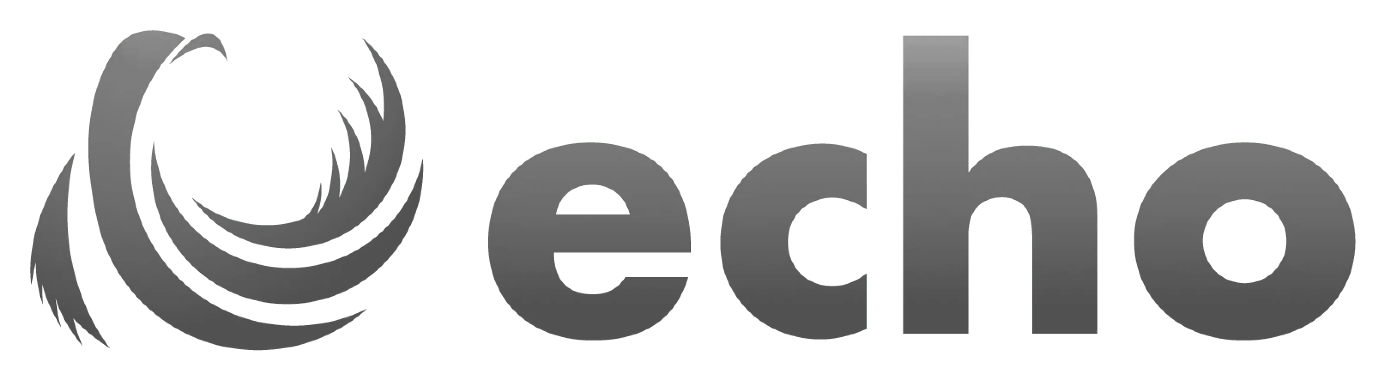 echo [エコー]